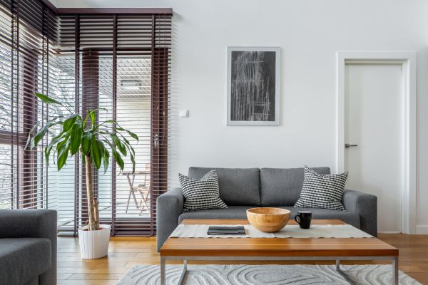 Albuquerque Staging Service