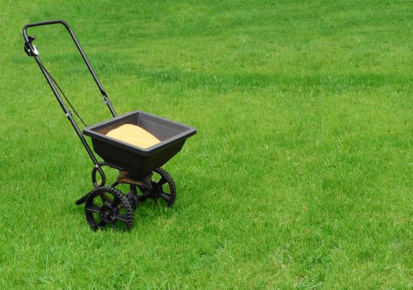 Albuquerque Lawn Treatment